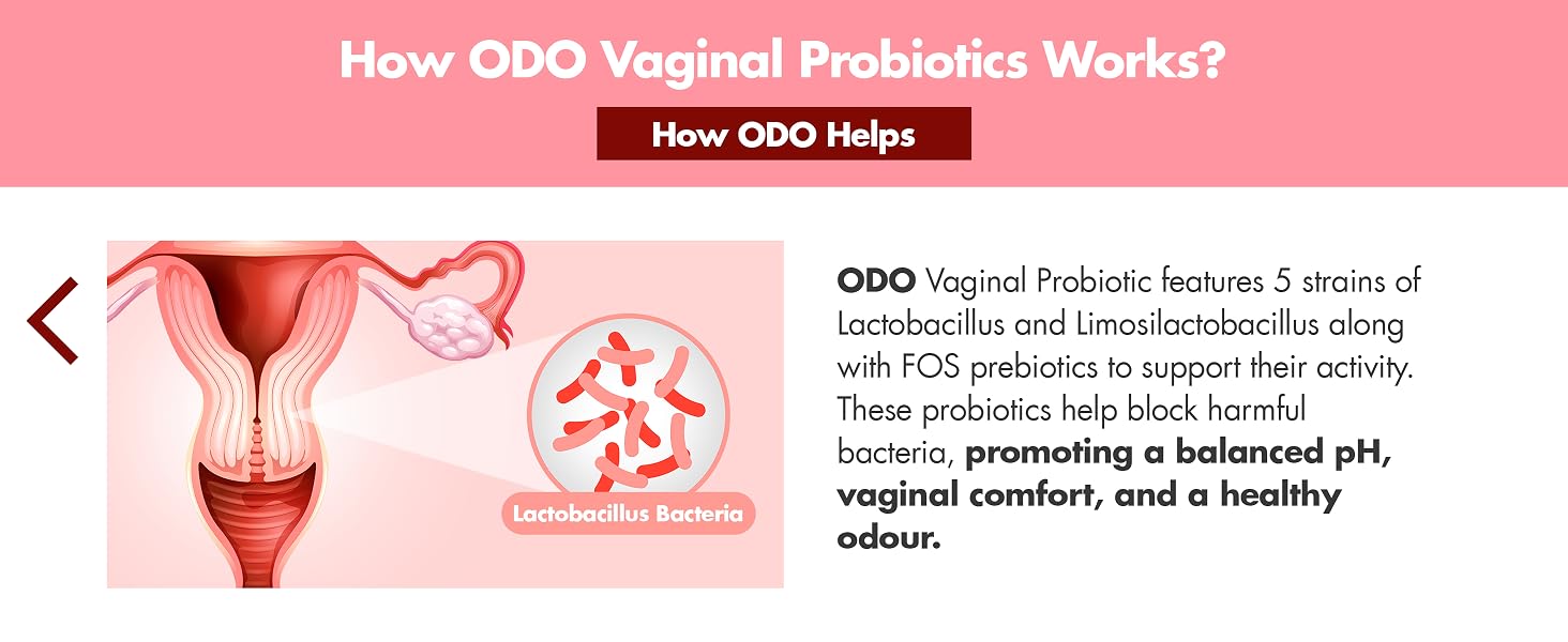 HealthyHey Nutrition ODO Vaginal Probiotics for Women pH Balance with Prebiotics & Lactobacillus Probiotic Blend - Vaginal Health Supplement - PromoteVaginal Odor & Vaginal Flora - 30 Veg Capsules