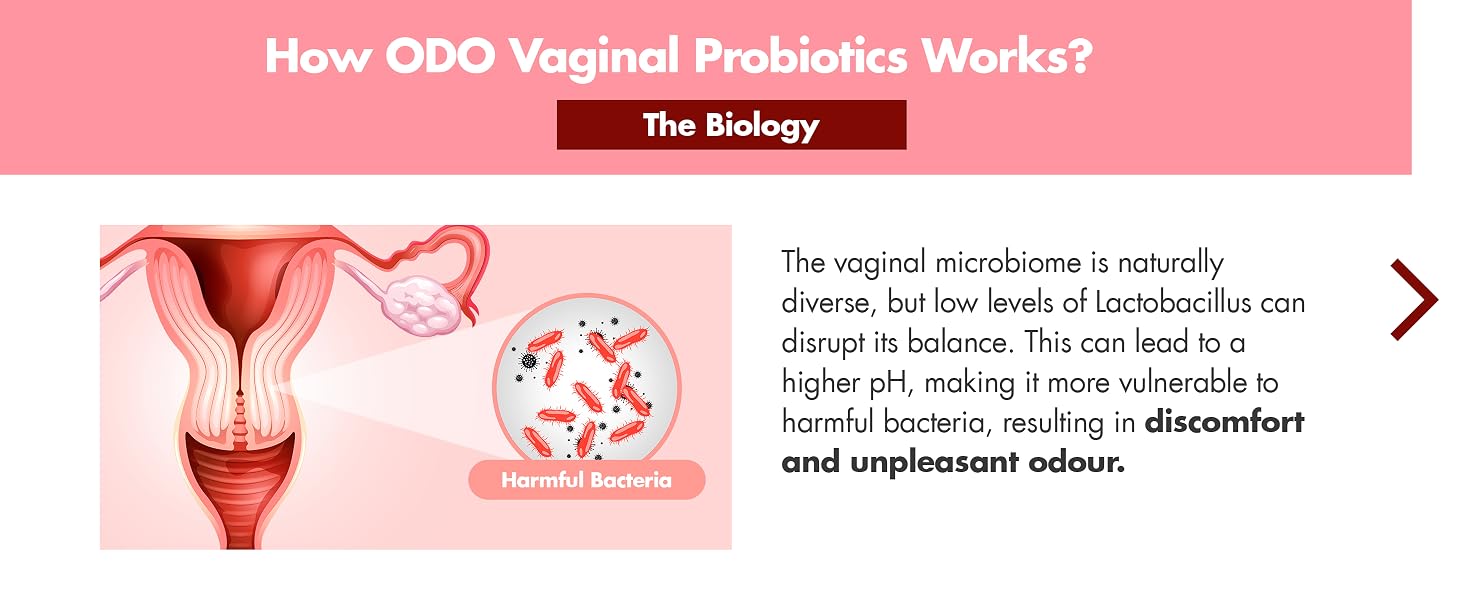 HealthyHey Nutrition ODO Vaginal Probiotics for Women pH Balance with Prebiotics & Lactobacillus Probiotic Blend - Vaginal Health Supplement - PromoteVaginal Odor & Vaginal Flora - 30 Veg Capsules
