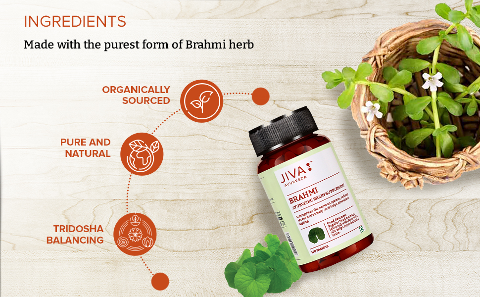 Jiva Brahmi Tablet 500mg 240 Tablets | Mind Wellness Strengthens Nervous System - 120 Tablet (Pack of 2)