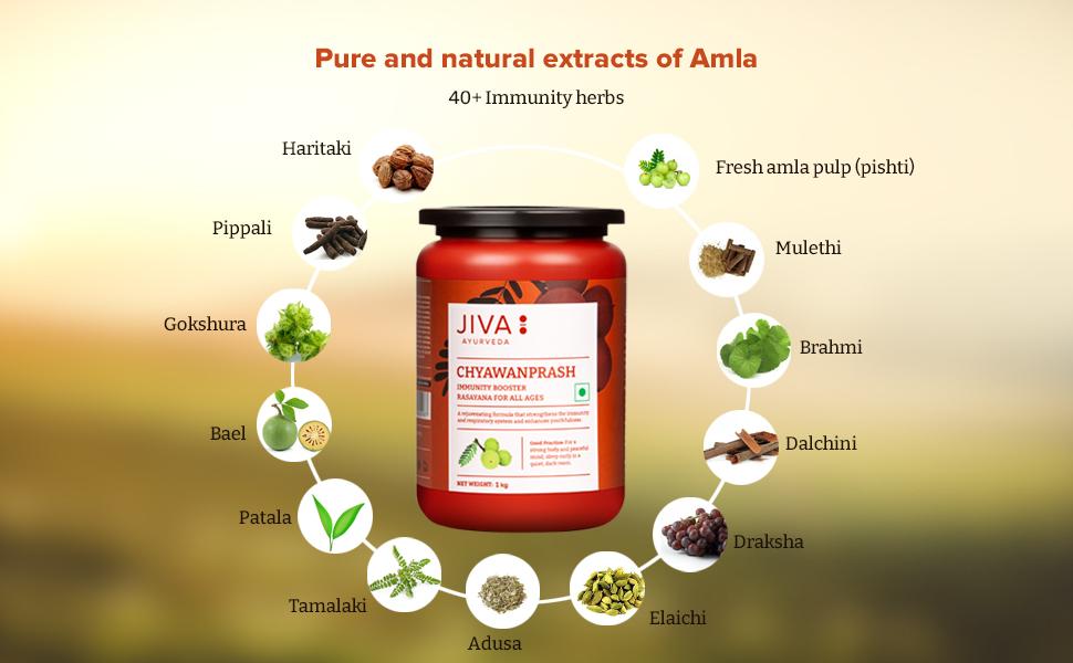 Jiva Chyawanprash - 500gm (Pack of 1) | Shastriya Formulation | 40+ Pure And Fresh Herbs Used | Boosts Immunity | Enriched with Antioxidants