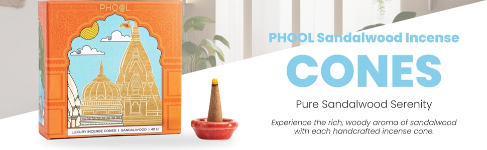PHOOL LUXURY INCENSE Kashi Vishwanath Pooja dhoop Cone - Sandalwood | Premium Pack of 40 Chandan Dhoop Cones | 100% Natural Certified | Dhoop Flowers Offered at Shri Kashi Vishwanath Temple