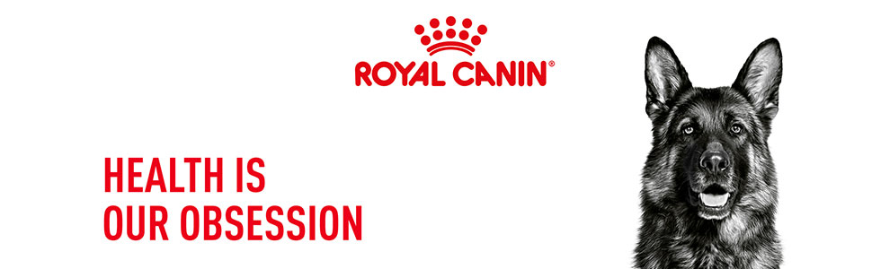 Royal Canin Maxi Adult Dog Food, Dry Food, Supports Digestive Health & Optimal Health, Provides Bone & Joint Support, 1 Kg