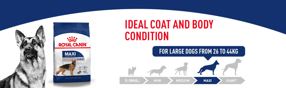 Royal Canin Maxi Adult Dog Food, Dry Food, Supports Digestive Health & Optimal Health, Provides Bone & Joint Support, 1 Kg
