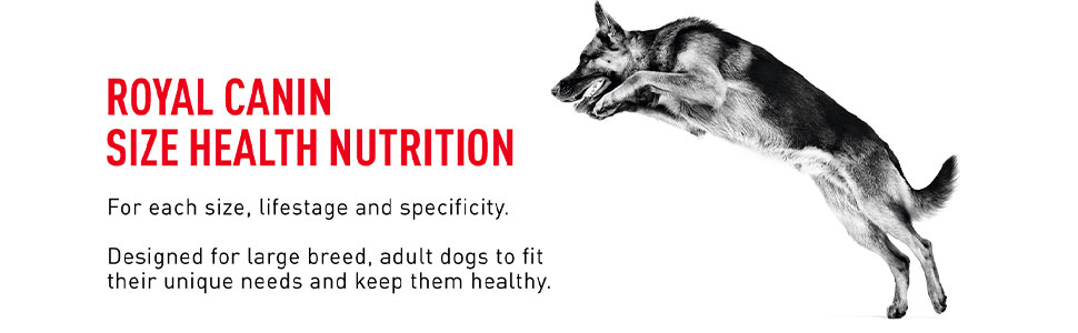 Royal Canin Maxi Adult Dog Food, Dry Food, Supports Digestive Health & Optimal Health, Provides Bone & Joint Support, 1 Kg