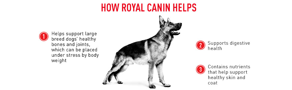 Royal Canin Maxi Adult Dog Food, Dry Food, Supports Digestive Health & Optimal Health, Provides Bone & Joint Support, 1 Kg