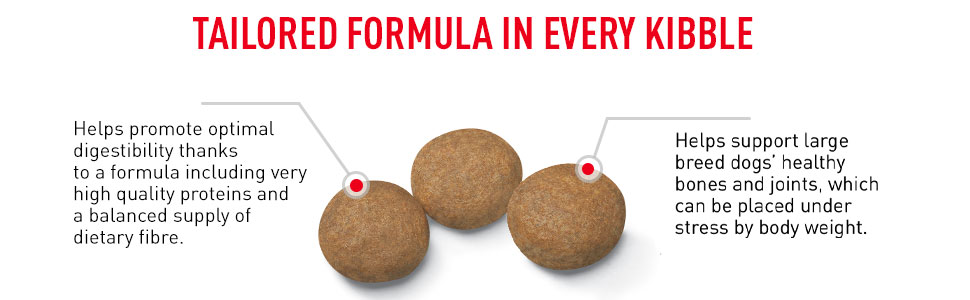 Royal Canin Maxi Adult Dog Food, Dry Food, Supports Digestive Health & Optimal Health, Provides Bone & Joint Support, 1 Kg