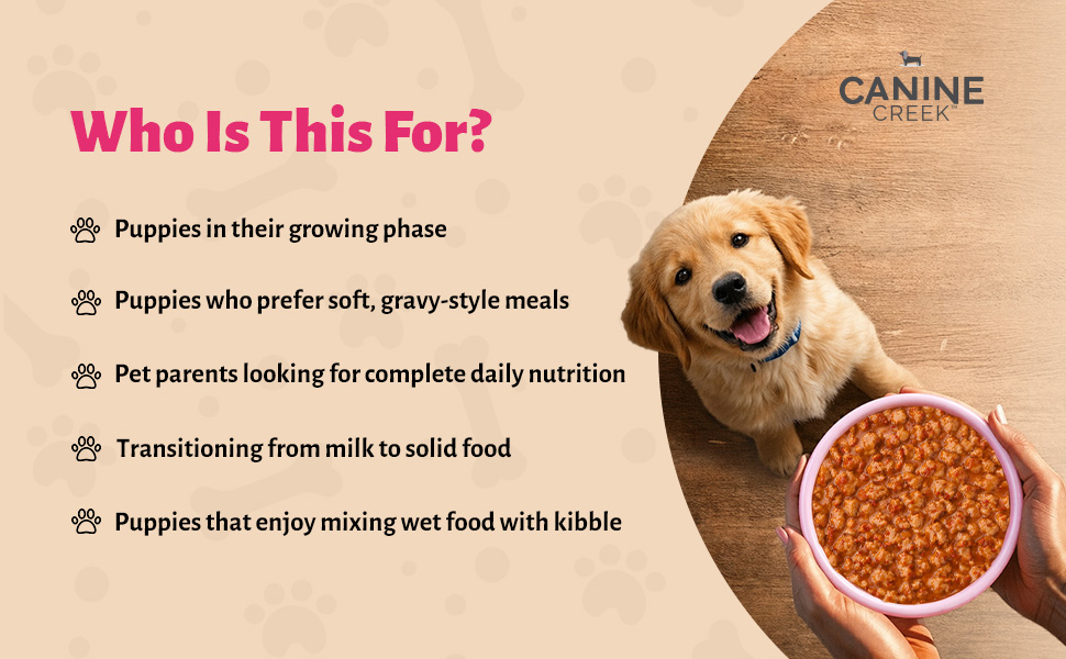 Canine Creek Real Chicken Gravy for Adult Wet Dog Food, 70gm Each (Pack of 1)