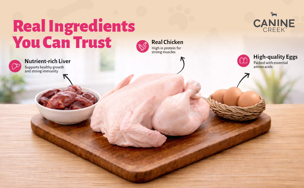 Canine Creek Real Chicken Gravy for Adult Wet Dog Food, 70gm Each (Pack of 1)