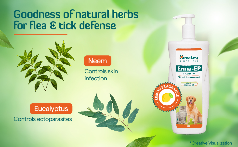 Himalaya Erina-EP Shampoo | 200 ml | Tick & Flea Control for Dogs & Cats | with Neem & Eucalyptus for Skin Health & Hygiene