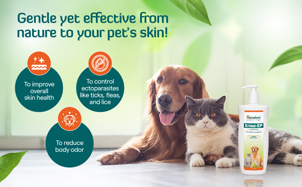 Himalaya Erina-EP Shampoo | 200 ml | Tick & Flea Control for Dogs & Cats | with Neem & Eucalyptus for Skin Health & Hygiene