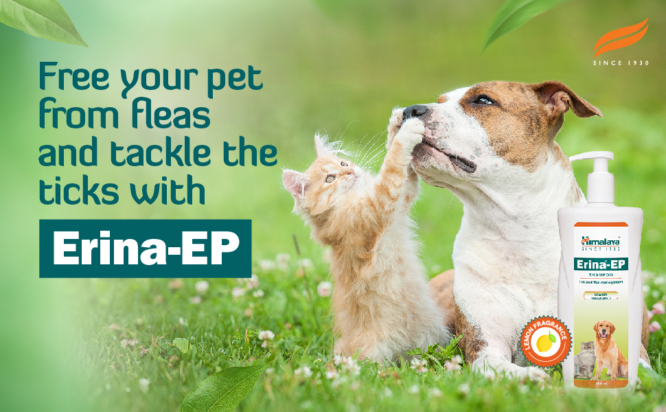 Himalaya Erina-EP Shampoo | 200 ml | Tick & Flea Control for Dogs & Cats | with Neem & Eucalyptus for Skin Health & Hygiene