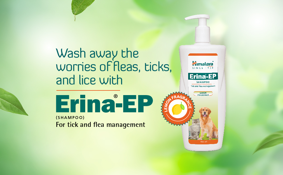 Himalaya Erina-EP Shampoo | 200 ml | Tick & Flea Control for Dogs & Cats | with Neem & Eucalyptus for Skin Health & Hygiene
