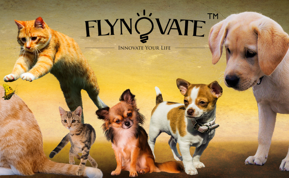 Flynovate Self Cleaning Dog Comb & Cat Comb - Pet Hair Remover Grooming Comb with Switch & PAIN - FREE Slickers | Deshedding Dog Brush & Cat Brush To Gently Massage The Pets with FREE Bath Brush
