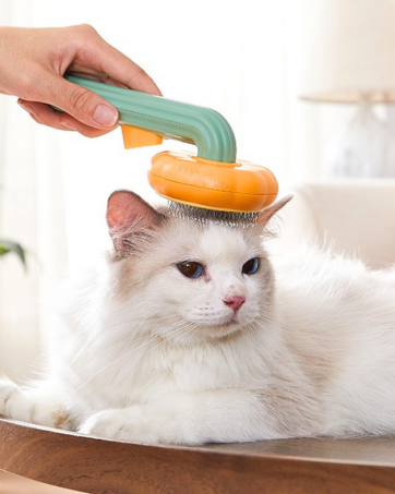 Flynovate Self Cleaning Dog Comb & Cat Comb - Pet Hair Remover Grooming Comb with Switch & PAIN - FREE Slickers | Deshedding Dog Brush & Cat Brush To Gently Massage The Pets with FREE Bath Brush