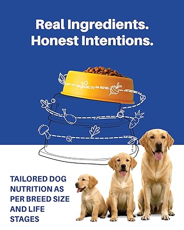 Petrosa Large Breed Adult Dog Food (15 Months & Above), Complete Daily Nutrition with High Protein, DHA & Prebiotics, Supports Joint Health, Digestion & Energy – 1 Kg