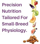 Petrosa Large Breed Adult Dog Food (15 Months & Above), Complete Daily Nutrition with High Protein, DHA & Prebiotics, Supports Joint Health, Digestion & Energy – 1 Kg