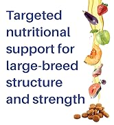 Petrosa Large Breed Adult Dog Food (15 Months & Above), Complete Daily Nutrition with High Protein, DHA & Prebiotics, Supports Joint Health, Digestion & Energy – 1 Kg