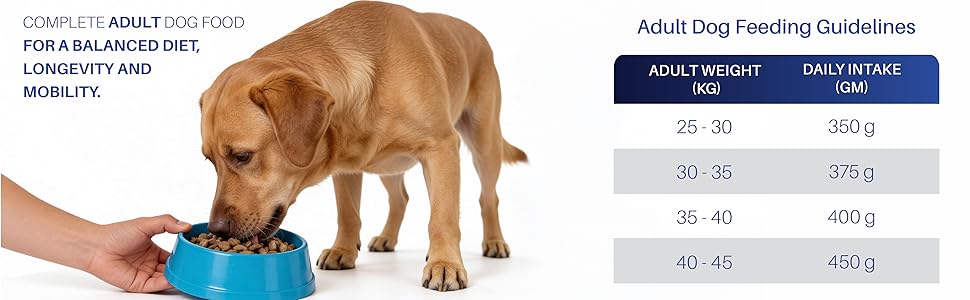 Petrosa Large Breed Adult Dog Food (15 Months & Above), Complete Daily Nutrition with High Protein, DHA & Prebiotics, Supports Joint Health, Digestion & Energy – 1 Kg