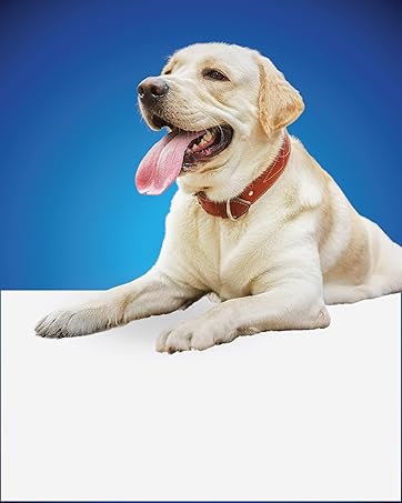 Petrosa Large Breed Adult Dog Food (15 Months & Above), Complete Daily Nutrition with High Protein, DHA & Prebiotics, Supports Joint Health, Digestion & Energy – 1 Kg