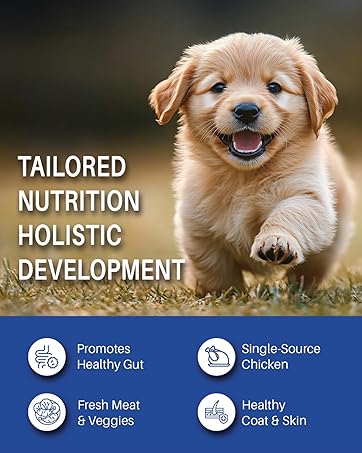 Petrosa Large Breed Adult Dog Food (15 Months & Above), Complete Daily Nutrition with High Protein, DHA & Prebiotics, Supports Joint Health, Digestion & Energy – 1 Kg
