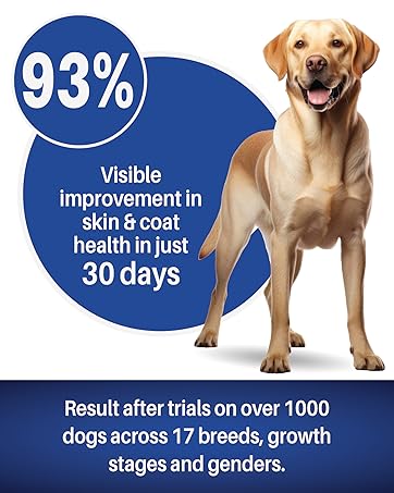Petrosa Large Breed Adult Dog Food (15 Months & Above), Complete Daily Nutrition with High Protein, DHA & Prebiotics, Supports Joint Health, Digestion & Energy – 1 Kg