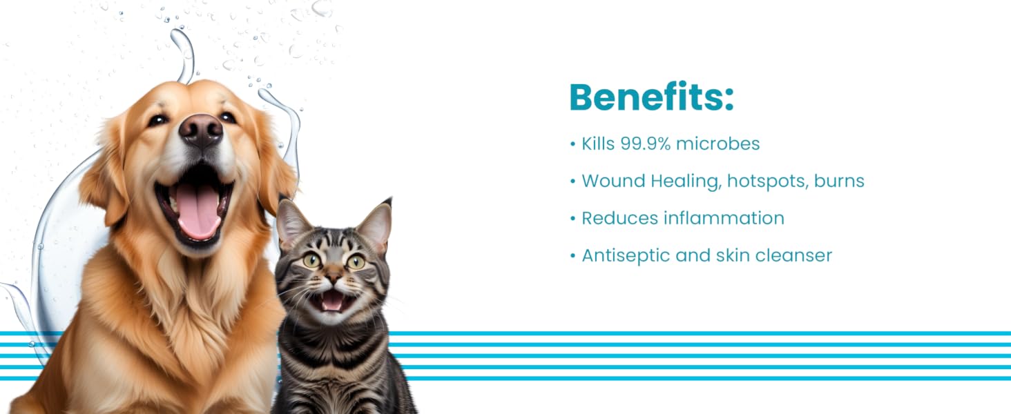 Bark Out Loud Antimicrobial Skin Spray for Pets | for Itching & Wounds | Sodium Hypochloride, Neem & Turmeric Extract | Safe Skin Care Spray for Dogs & Cats, Puppies & Kittens - (100 ml)