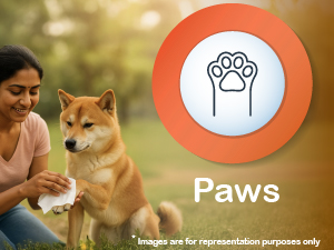 PawKare Pet Wipes for Dogs & Cats | 160 Count | 80 x Pack of 2 | Vet Recommended Grooming Wipes |Alcohol-Free Wet Wipes for Cats & Dogs|Pets Dry Bathing, Paw Cleaning| Aloe Vera, Jojoba Oil, Vitamin E