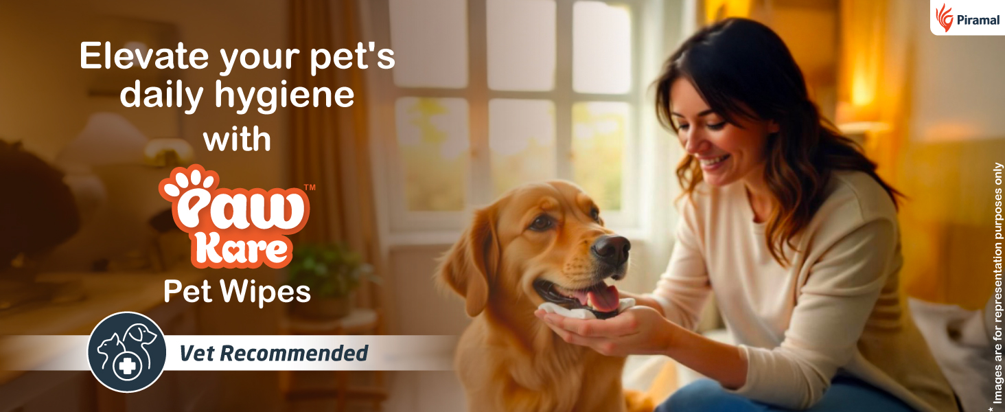 PawKare Pet Wipes for Dogs & Cats | 160 Count | 80 x Pack of 2 | Vet Recommended Grooming Wipes |Alcohol-Free Wet Wipes for Cats & Dogs|Pets Dry Bathing, Paw Cleaning| Aloe Vera, Jojoba Oil, Vitamin E