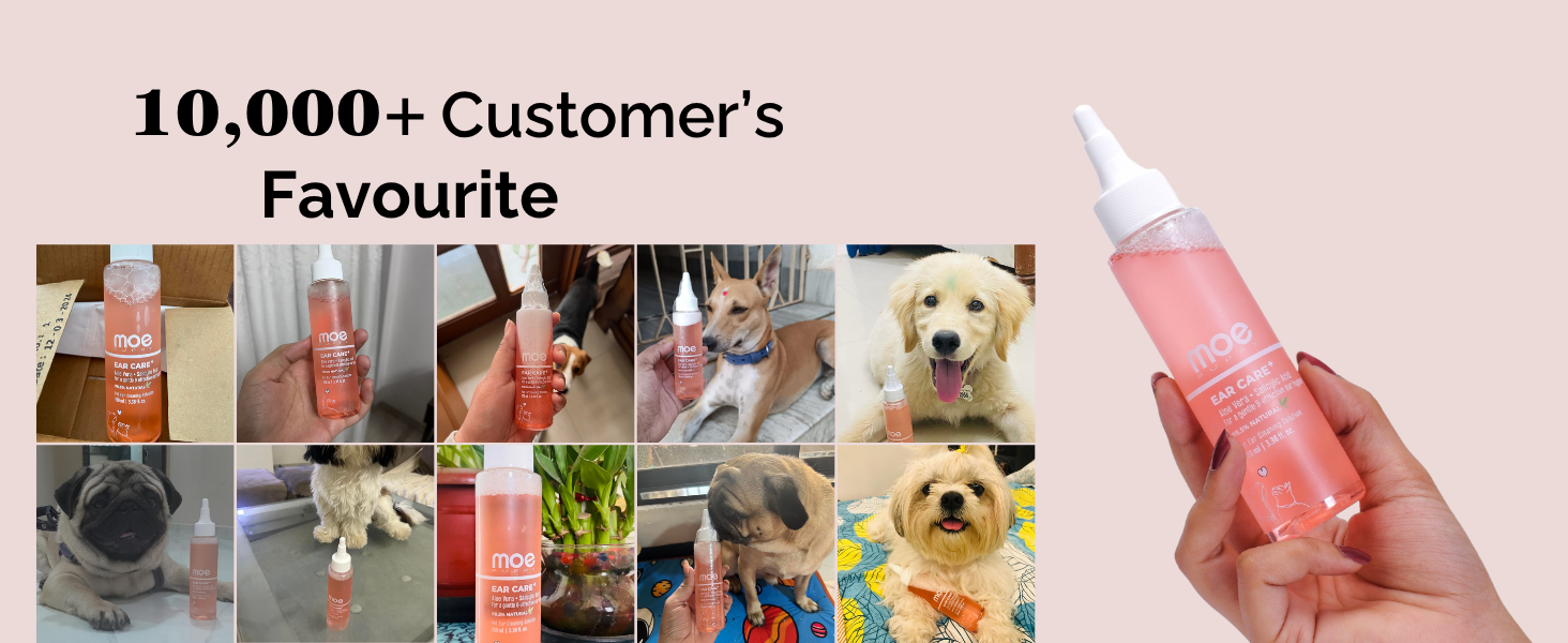 Moe Puppy Ear Care+ | Ear Cleaning Solution for Dogs and Cats | Prevents Infections, Soothes Itching, Removes Wax, Eliminates Ear Odour | Non-Irritating Dog Ear Cleanser | 100ml