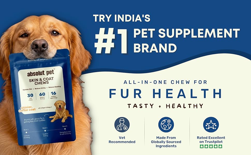 Absolut Pet Dog Supplement for Skin & Coat, Chews for Reduced Shedding, Healthy Skin & Glowing Coat with Omega, Collagen & Biotin (30 Chews)