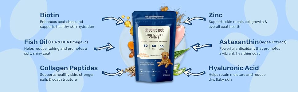 Absolut Pet Dog Supplement for Skin & Coat, Chews for Reduced Shedding, Healthy Skin & Glowing Coat with Omega, Collagen & Biotin (30 Chews)