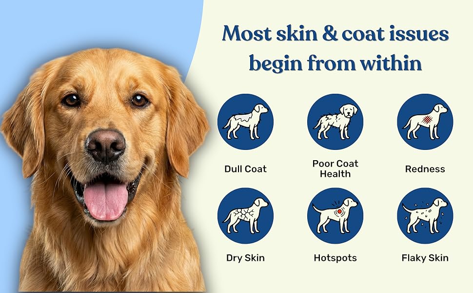 Absolut Pet Dog Supplement for Skin & Coat, Chews for Reduced Shedding, Healthy Skin & Glowing Coat with Omega, Collagen & Biotin (30 Chews)