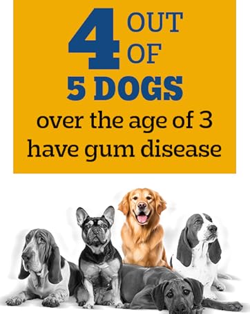 Pedigree Dentastix Oral Care Dog Treat, Adult Medium Breed (10-25 kg), 180 g, Recommended by Vets, Supports Gum Health, Reduces Risk of Gum diseases