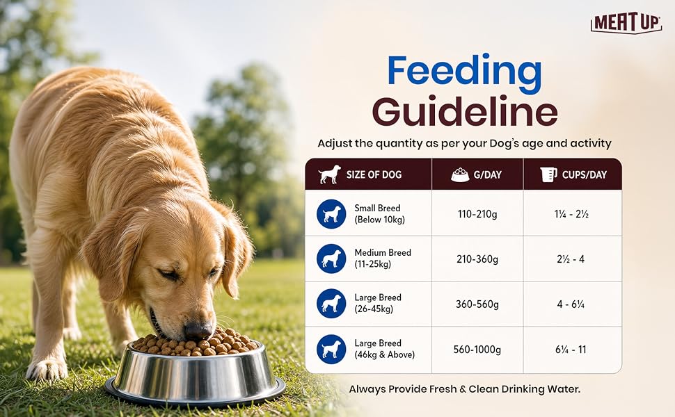 Meat Up Adult Dry Dog Food 2.4kg (1.2kg + 1.2kg) | Chicken Flavour | Healthy Skin & Coat | Antioxidants | Enriched with Vitamins & Minerals
