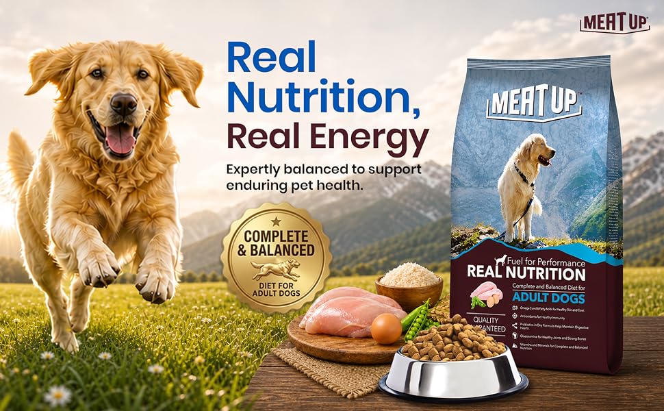 Meat Up Adult Dry Dog Food 2.4kg (1.2kg + 1.2kg) | Chicken Flavour | Healthy Skin & Coat | Antioxidants | Enriched with Vitamins & Minerals
