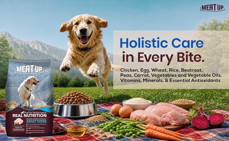 Meat Up Adult Dry Dog Food 2.4kg (1.2kg + 1.2kg) | Chicken Flavour | Healthy Skin & Coat | Antioxidants | Enriched with Vitamins & Minerals