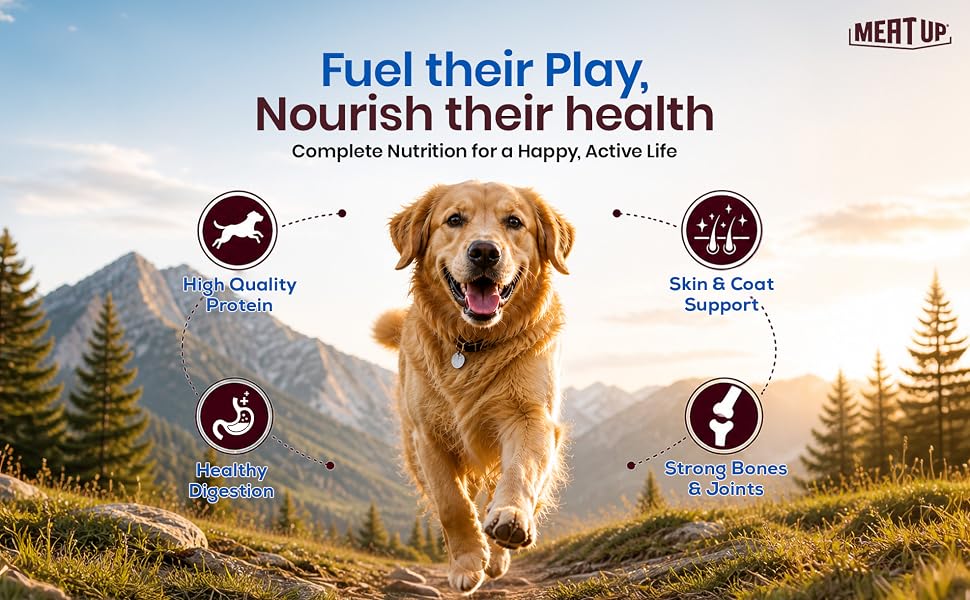 Meat Up Adult Dry Dog Food 2.4kg (1.2kg + 1.2kg) | Chicken Flavour | Healthy Skin & Coat | Antioxidants | Enriched with Vitamins & Minerals