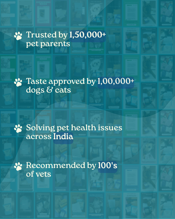 Absolut Pet Hip and Joint-Supplements for Dogs Chews That Improve Mobility & Bone Strength with Glucosamine, Chondroitin & Collagen (30 Chews)