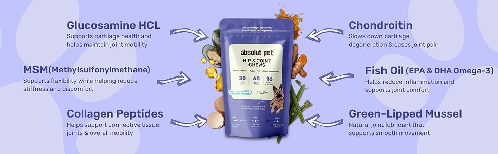 Absolut Pet Hip and Joint-Supplements for Dogs Chews That Improve Mobility & Bone Strength with Glucosamine, Chondroitin & Collagen (30 Chews)