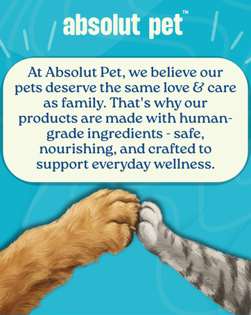 Absolut Pet Hip and Joint-Supplements for Dogs Chews That Improve Mobility & Bone Strength with Glucosamine, Chondroitin & Collagen (30 Chews)