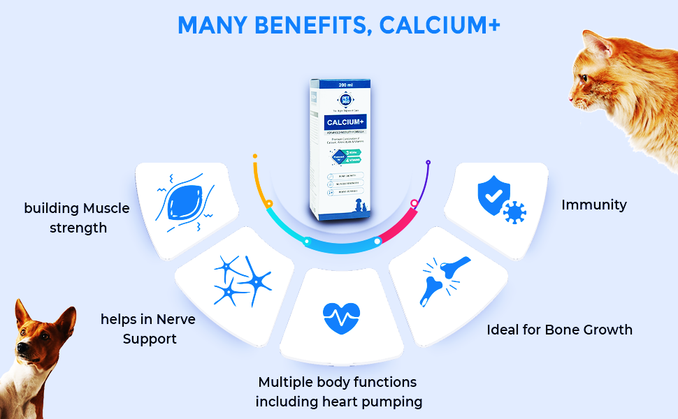 PET360 Calcium+ Advanced Mobility Formula with Calcium, Amino Acids & Vitamins for Dogs & Cats | Bone Growth, Muscle Strength & Nerve Support | Nutritional Supplements for Pets - 200 ml
