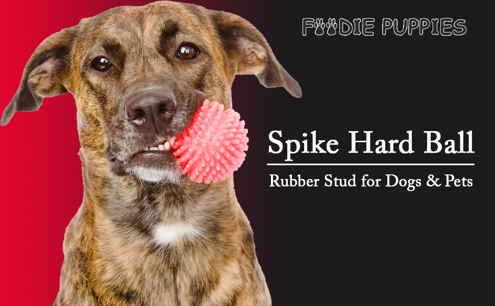 Foodie Puppies Natural Rubber Spike Ball - 2.8inch/ 7cm | Suitable for Small to Medium Dogs and Puppies | Chewing, Teething, and Training Bouncy Ball Toy