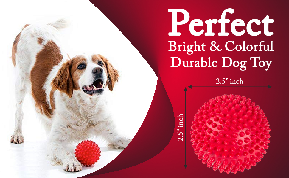 Foodie Puppies Natural Rubber Spike Ball - 2.8inch/ 7cm | Suitable for Small to Medium Dogs and Puppies | Chewing, Teething, and Training Bouncy Ball Toy