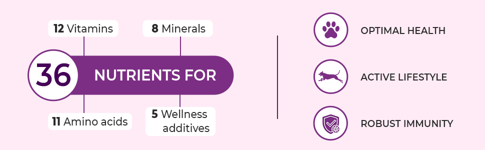 PET360 Vital+ Advanced Wellness Formula | Daily Multivitamin Syrup | Healthy Skin, Joints, Immunity & Growth | Nutritional Supplement for Dogs & Cats- 200 ml