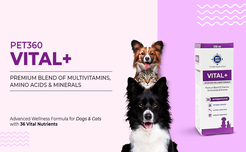 PET360 Vital+ Advanced Wellness Formula | Daily Multivitamin Syrup | Healthy Skin, Joints, Immunity & Growth | Nutritional Supplement for Dogs & Cats- 200 ml
