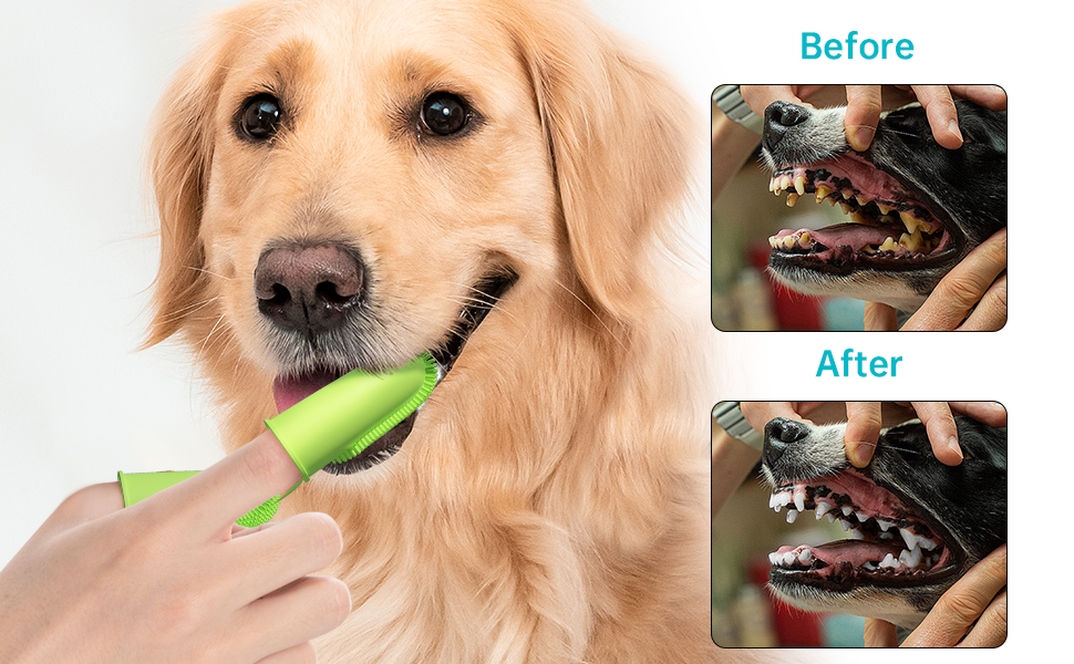 Inralimot Dog Toothbrush Cat Finger, Teeth Cleaning Set Soft Bristles for Easy Dental Care Toothbrush Suitable for Large to Small Dogs Cats and Small Pets Color: Pink or cyan,Manual, Adult