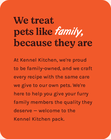 Kennel Kitchen Soft Baked Lamb with Pumpkin Sticks Treats for Dogs, 100g (Pack of 1) | Soft Dog Chew Sticks | Dog Treats for Adult Dogs and Puppies