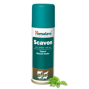 Himalaya Scavon Vet Spray | Antibacterial & Antifungal Formula for Wound Care, Promotes Faster Healing | 100 ml