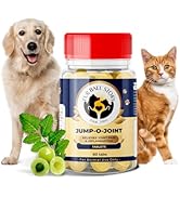 FUR BALL STORY Supertonic Multivitamin Syrup for Dogs & Cats | Pet Immunity & Energy Booster Supplement | Supports Liver, Kidney & Overall Health | with Moringa, Ashwagandha & 10+ Superfoods 200ml