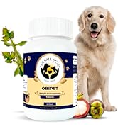 FUR BALL STORY Supertonic Multivitamin Syrup for Dogs & Cats | Pet Immunity & Energy Booster Supplement | Supports Liver, Kidney & Overall Health | with Moringa, Ashwagandha & 10+ Superfoods 200ml